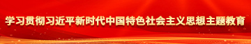 欧美操美女大B学习贯彻习近平新时代中国特色社会主义思想主题教育