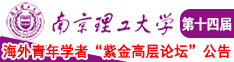 啊~慢点插小说扣流水南京理工大学第十四届海外青年学者紫金论坛诚邀海内外英才！